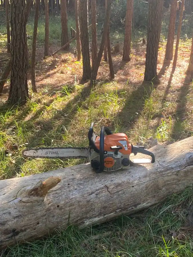 Small Engine Mechanic